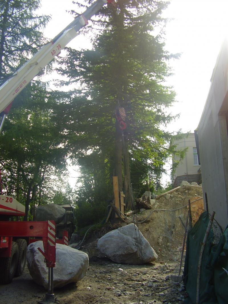 Revitalizcia a krajinrske pravy - TRBSK PLESO